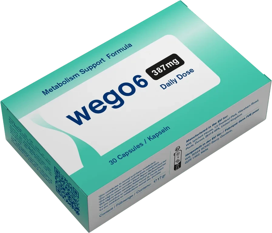 WEGO6 Produktverpackung